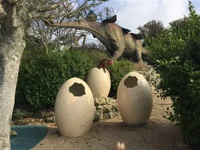 Was würde mit Dinosauriereiern geschehen, wenn man sie versetzen würde?